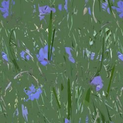 landscape   iris   green 