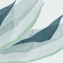 landscape wanders bloom seas