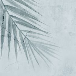 leafscapes hanging ferns misty mornings detail