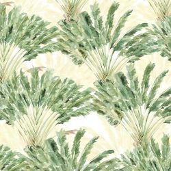 lost in the tropics banana fan palms sage