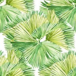 lost in the tropics serrated fan palms green
