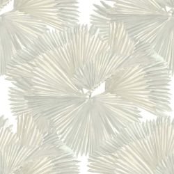 lost in the tropics serrated fan palms grey