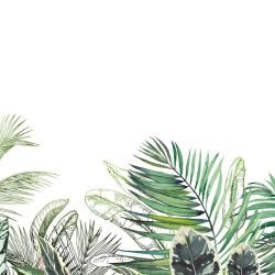 lush outlook palm horizon green