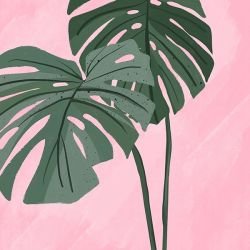 posing and patterns monstera wash green pink