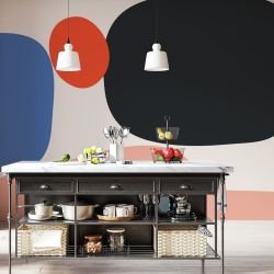 natural forms concept equilibrium yellow black red mix mural 