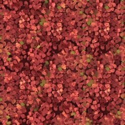 nature celebration verdant life red