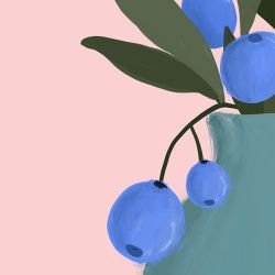 natures bounty azure berry blue pink