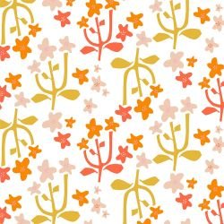 natures depiction field notes orange pop