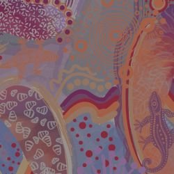 ngoolark hero fig tree dusk detail