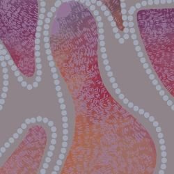 ngoolark stones fig tree dusk detail