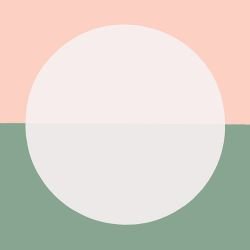 wallscapes morning sun peach pale 