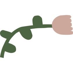 playful pops tulip time pink green