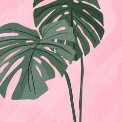 posing and patterns monstera wash green pink