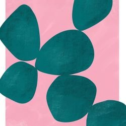 posing and patterns rugged ascent aqua pink