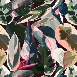 sundrenched foliage sunkissed palms eggplant 