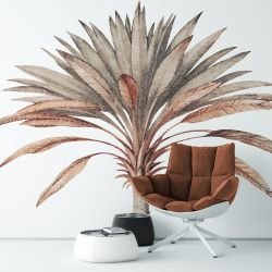 textured tropics concept palm