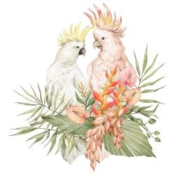 watercolour wildlings cockatoos and heliconias
