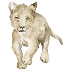 watercolour wildlings lively lion cub