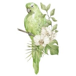 watercolour wildlings orchid parrot