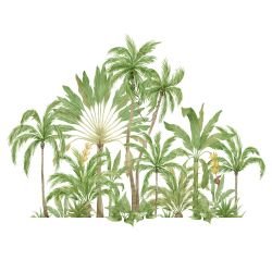 watercolour wildlings palm plantation