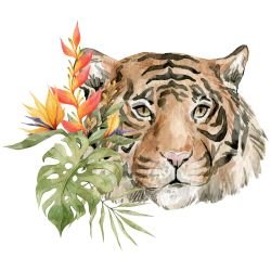 watercolour wildlings tigers look