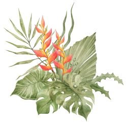 watercolour wildlings tropical red heliconia bouquet